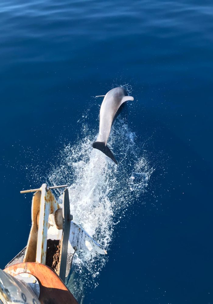 480556470_1127003159220167_1500165879840670311_n